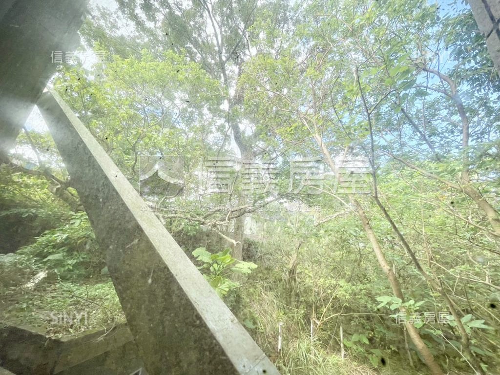 威靈頓稀有大戶景觀別墅房屋室內格局與周邊環境