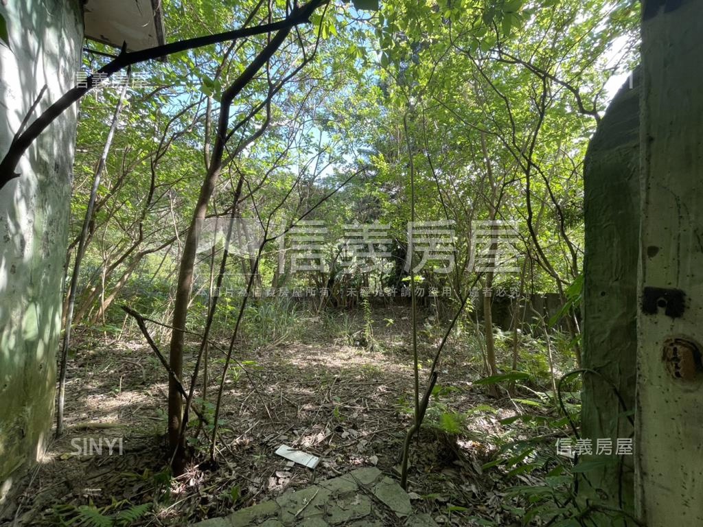 威靈頓稀有大戶景觀別墅房屋室內格局與周邊環境