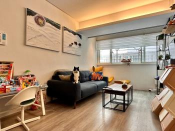 稀有釋出捷運電梯明亮美宅