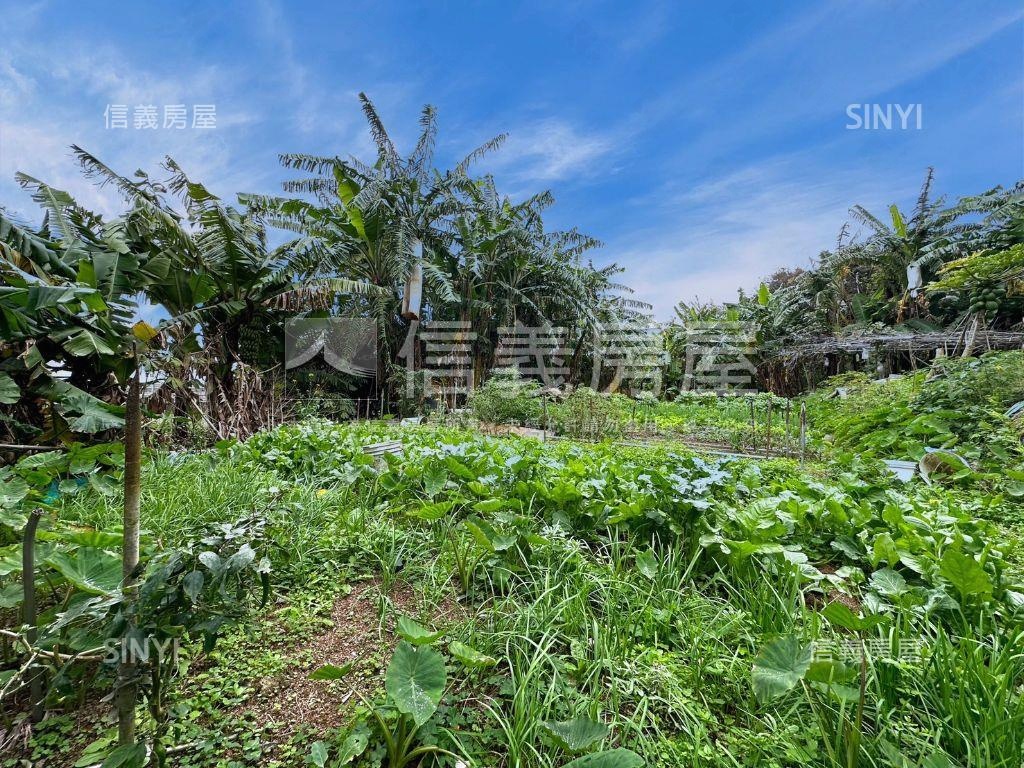 地主誠售林口半甲優質農地房屋室內格局與周邊環境