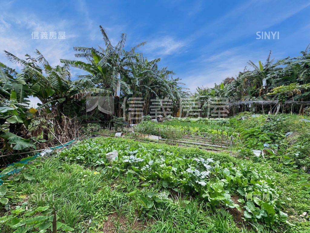 【農地】林口太平一段土地房屋室內格局與周邊環境