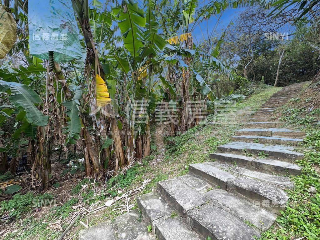 【農地】林口太平一段土地房屋室內格局與周邊環境