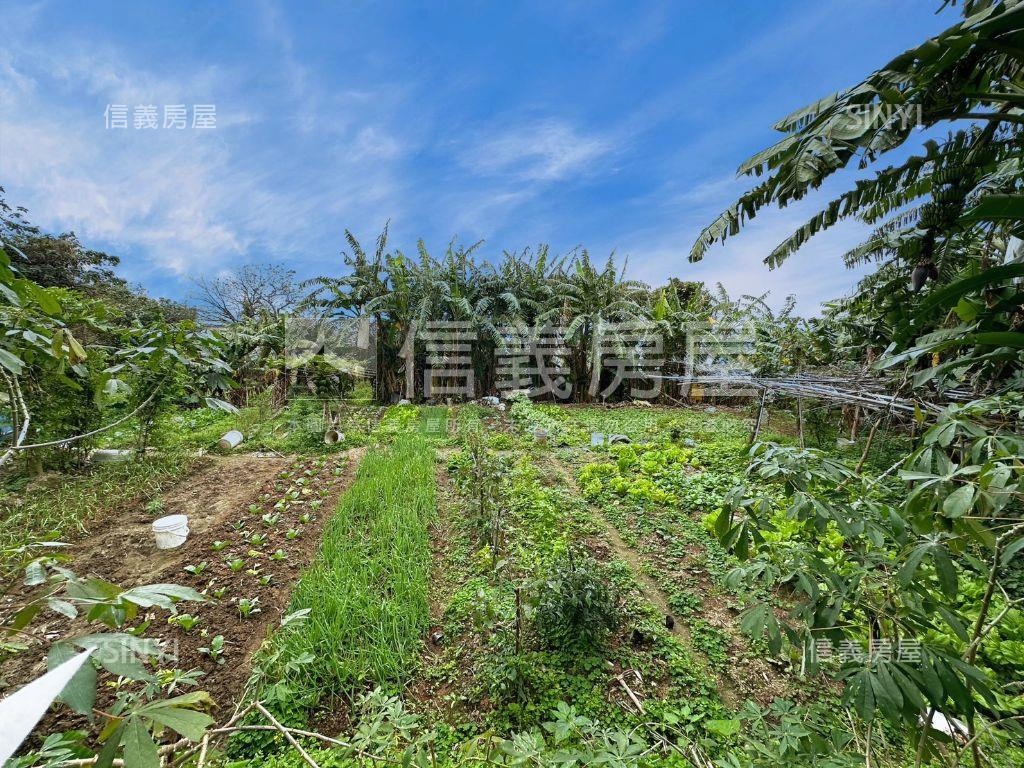 地主誠售林口半甲優質農地房屋室內格局與周邊環境