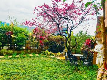 比佛利一二樓大空間美屋