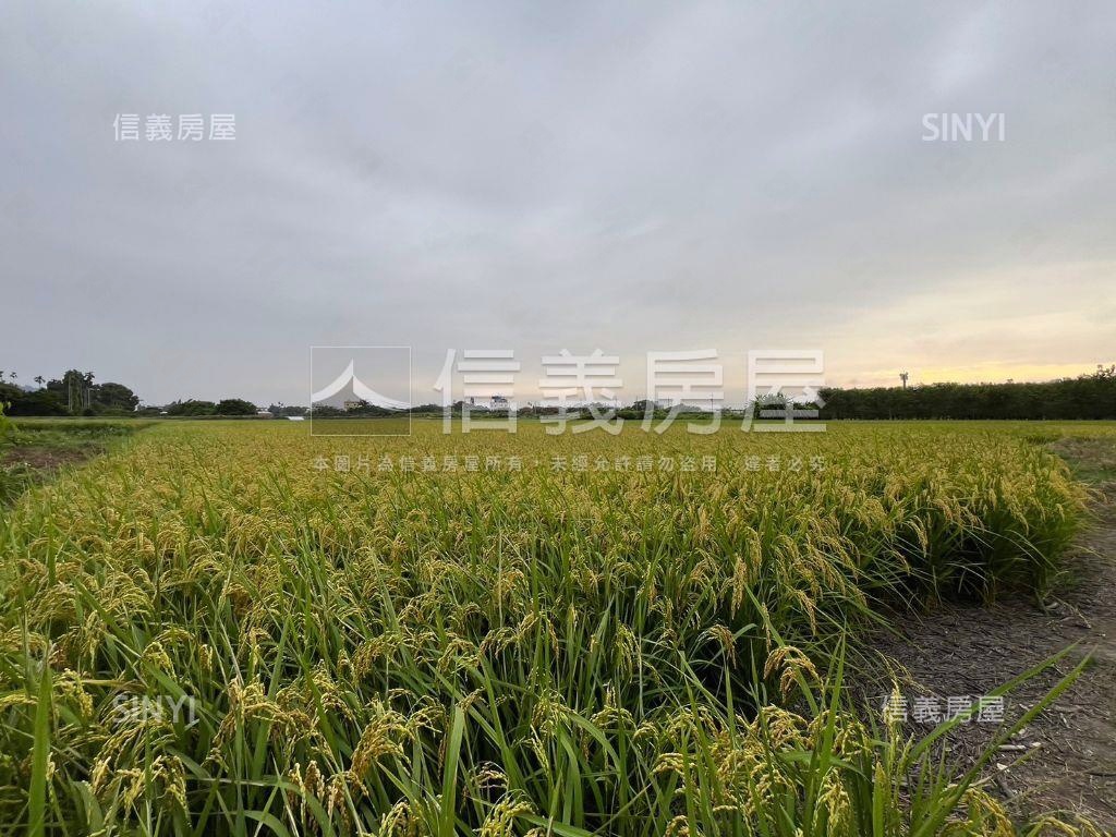 臨近田中車站寬闊農地房屋室內格局與周邊環境