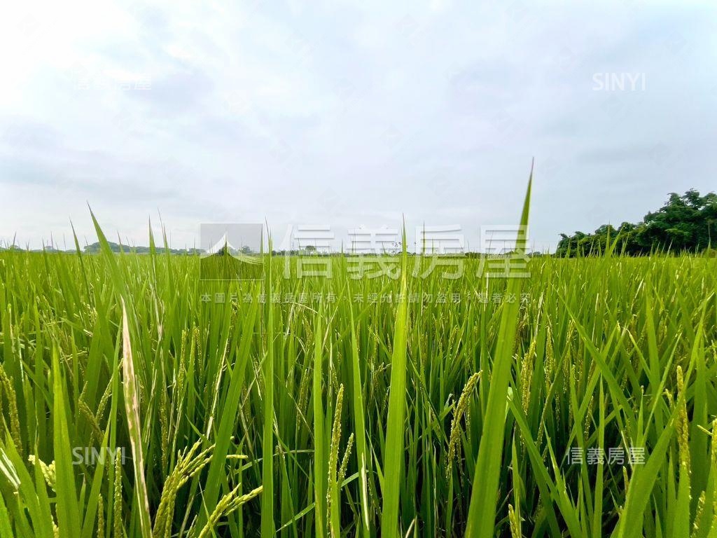 近田中車站寬闊農地誠售！房屋室內格局與周邊環境