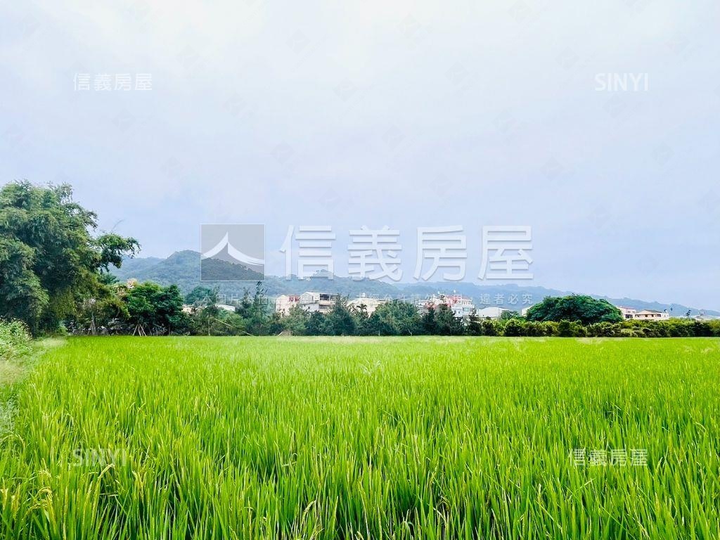 近田中車站寬闊農地誠售！房屋室內格局與周邊環境