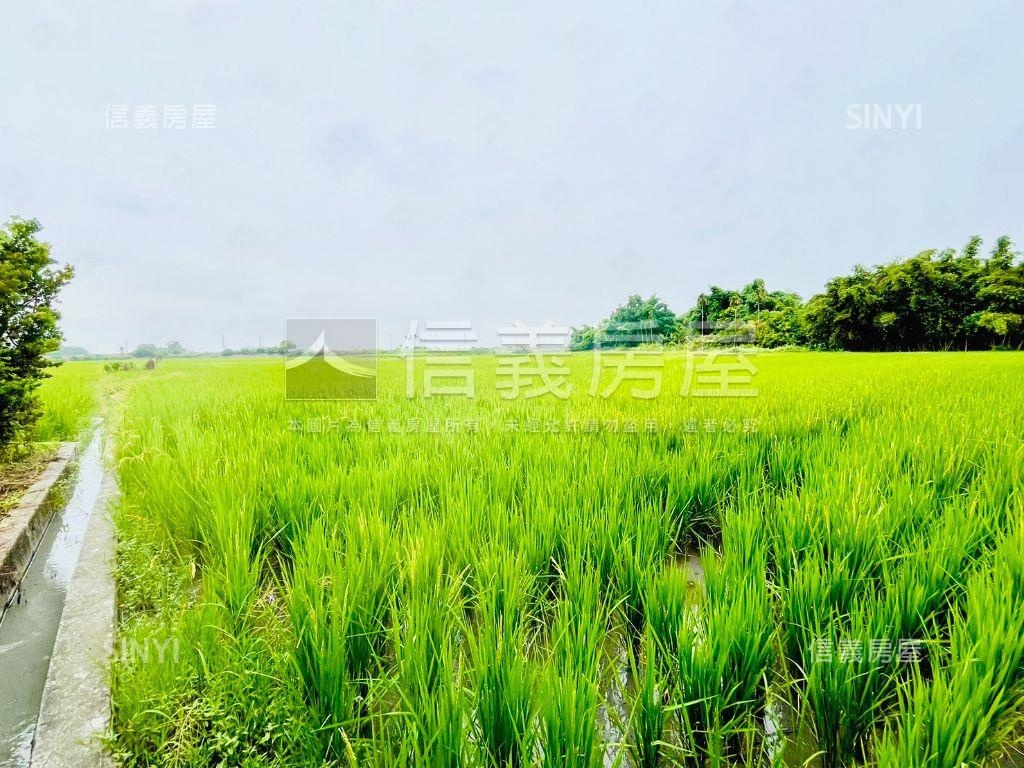 近田中車站寬闊農地誠售！房屋室內格局與周邊環境