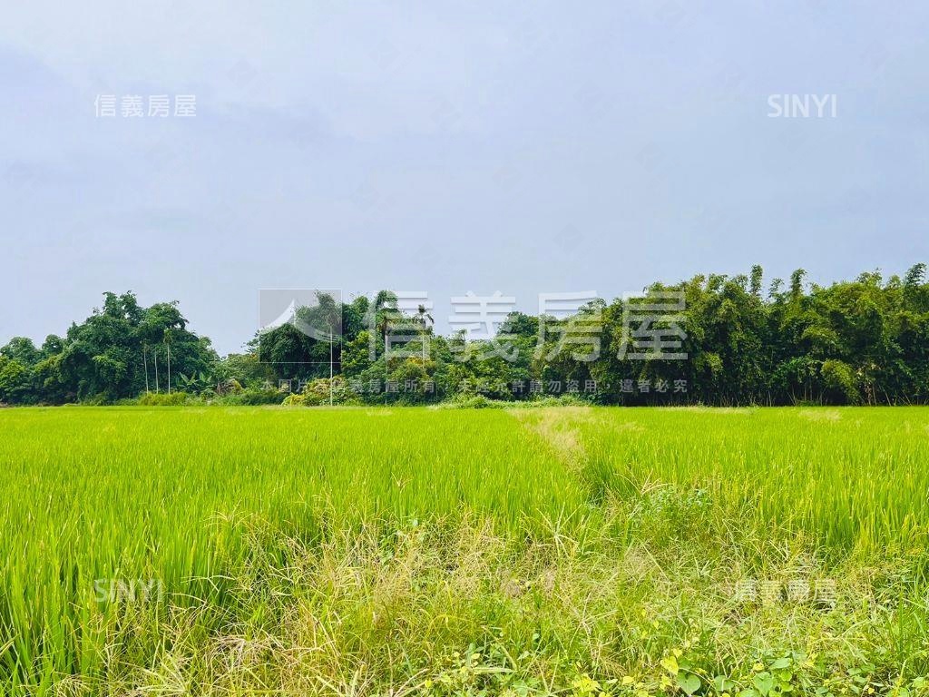 近田中車站寬闊農地誠售！房屋室內格局與周邊環境