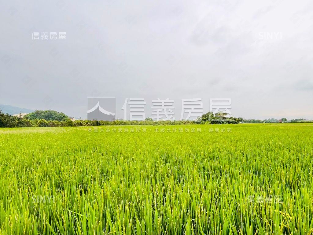 近田中車站寬闊農地誠售！房屋室內格局與周邊環境