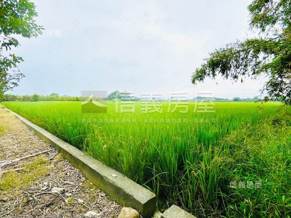 近田中車站寬闊農地誠售！房屋室內格局與周邊環境