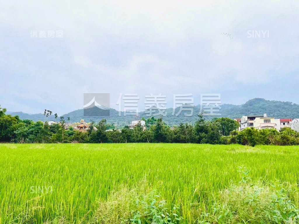 近田中車站寬闊農地誠售！房屋室內格局與周邊環境