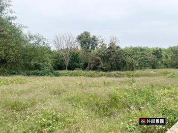 刣豬厝高鐵特區美農地