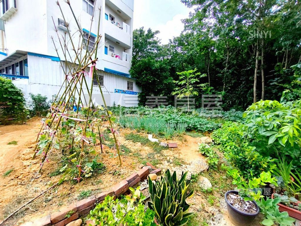 專任平鎮優值中央路土地房屋室內格局與周邊環境