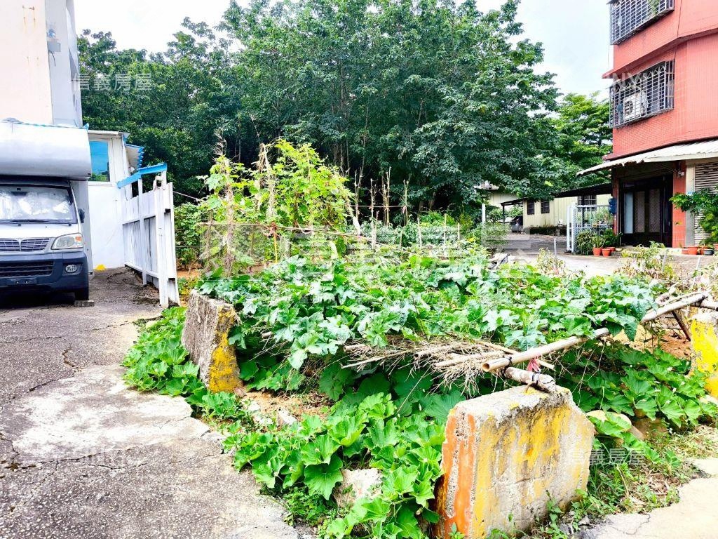 專任平鎮優值中央路土地房屋室內格局與周邊環境