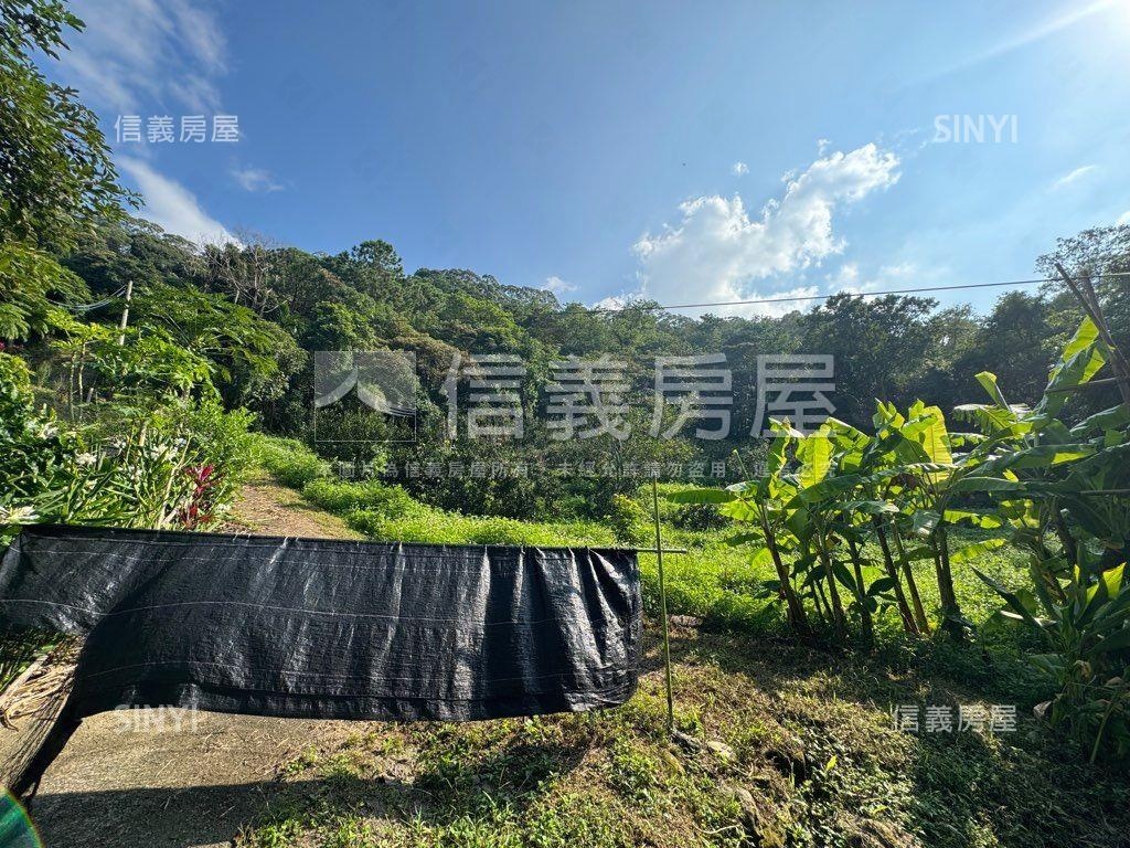 ＥＳＧ碳權近竹東臨路林地房屋室內格局與周邊環境