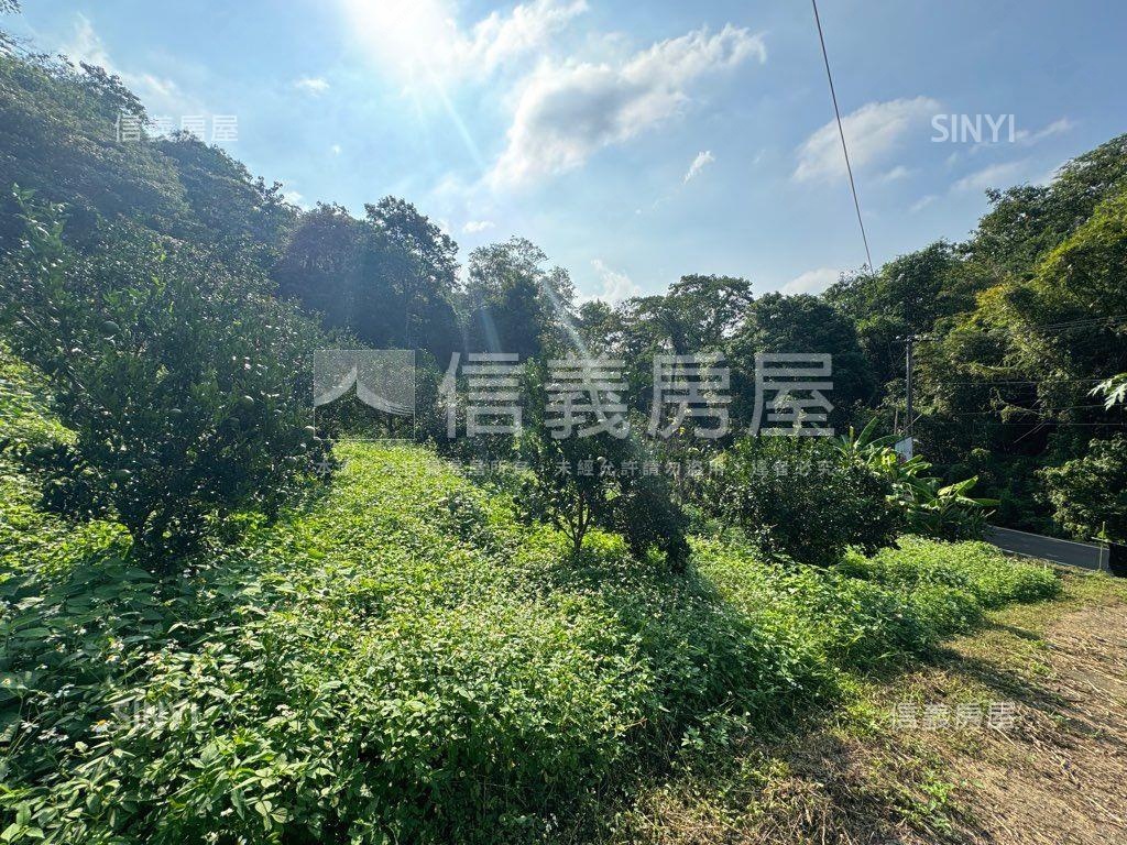 ＥＳＧ碳權近竹東臨路林地房屋室內格局與周邊環境