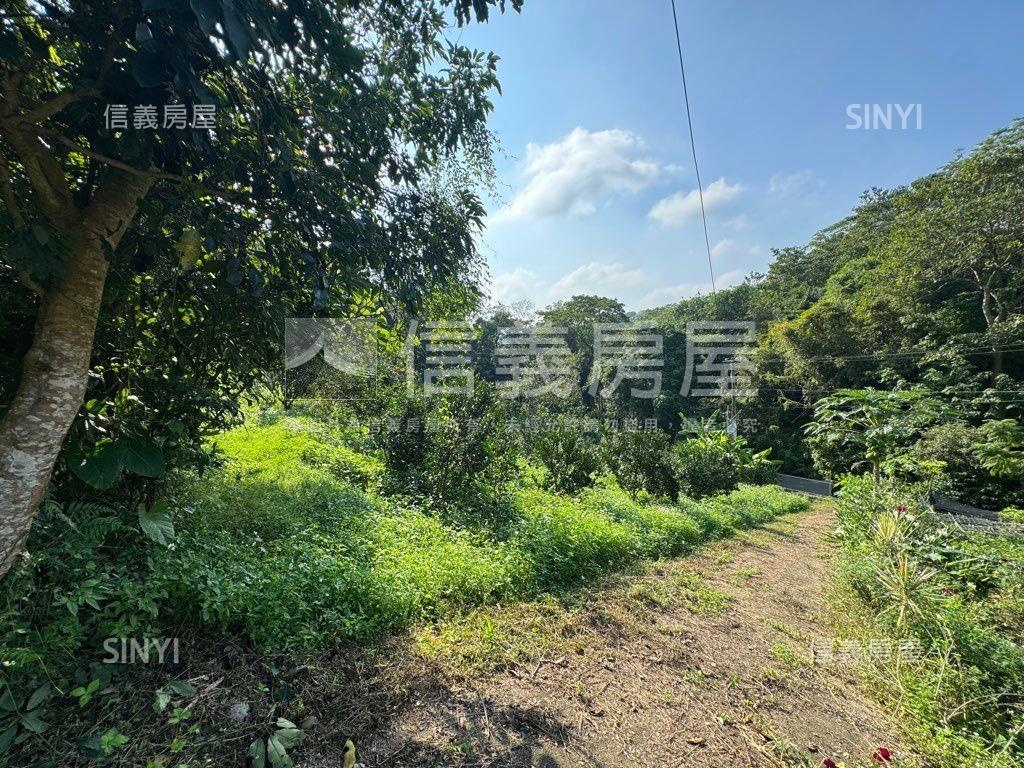 ＥＳＧ碳權近竹東臨路林地房屋室內格局與周邊環境