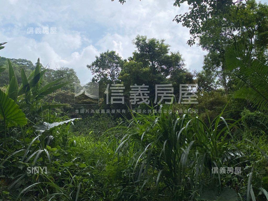 ＥＳＧ碳權近竹東臨路林地房屋室內格局與周邊環境