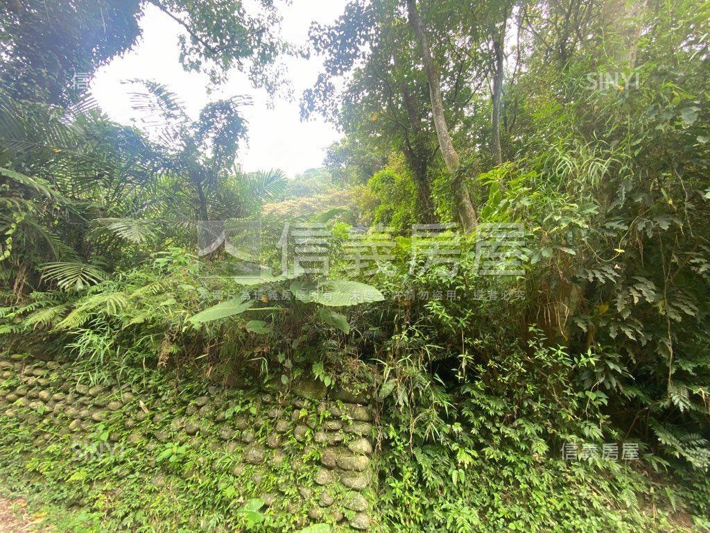 ＥＳＧ碳權近竹東臨路林地房屋室內格局與周邊環境