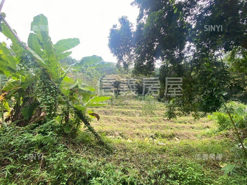 ＥＳＧ碳權近竹東臨路林地房屋室內格局與周邊環境