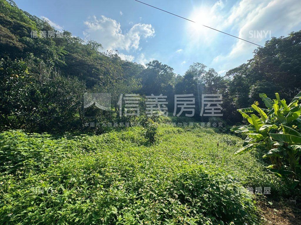 ＥＳＧ碳權近竹東臨路林地房屋室內格局與周邊環境