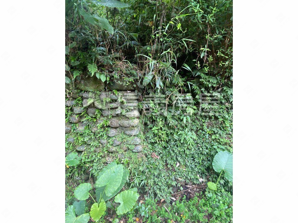 ＥＳＧ碳權近竹東臨路林地房屋室內格局與周邊環境