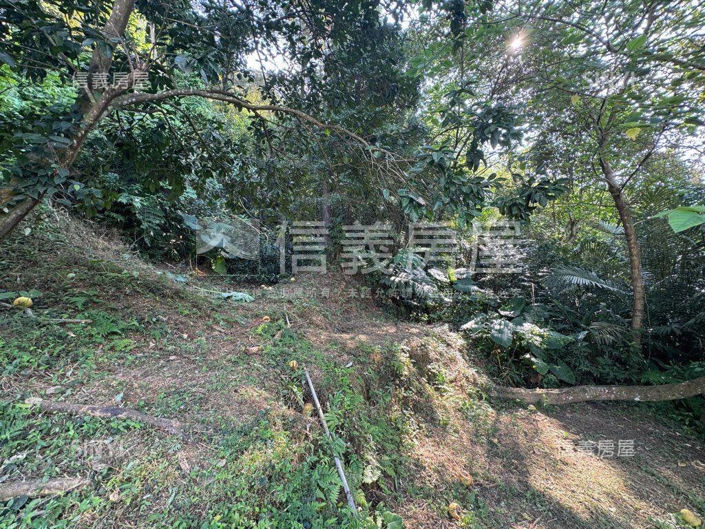 ＥＳＧ碳權近竹東臨路林地房屋室內格局與周邊環境