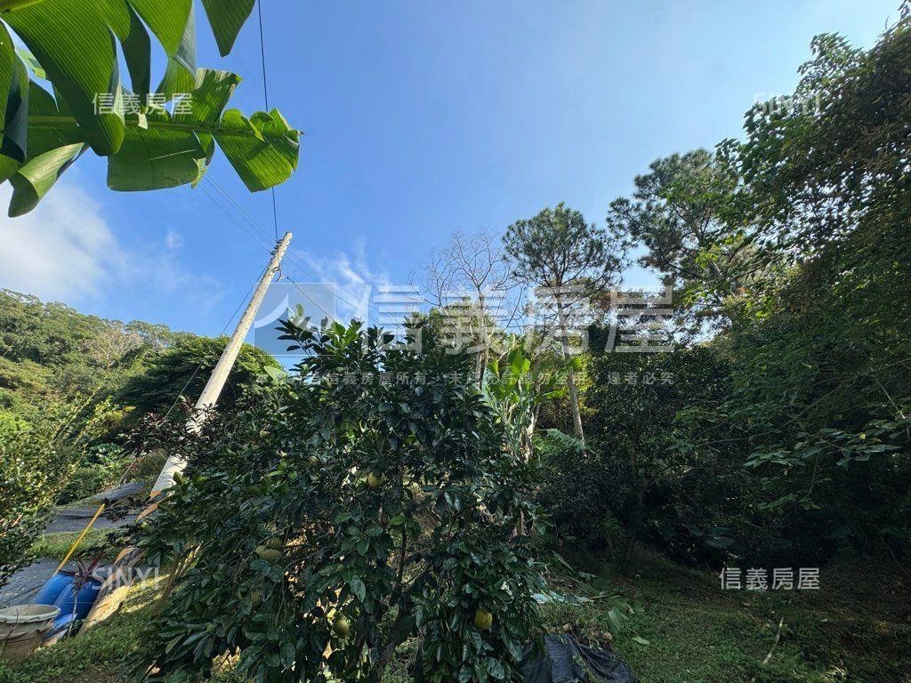 ＥＳＧ碳權近竹東臨路林地房屋室內格局與周邊環境