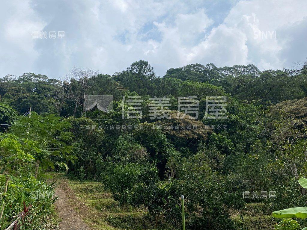 ＥＳＧ碳權近竹東臨路林地房屋室內格局與周邊環境