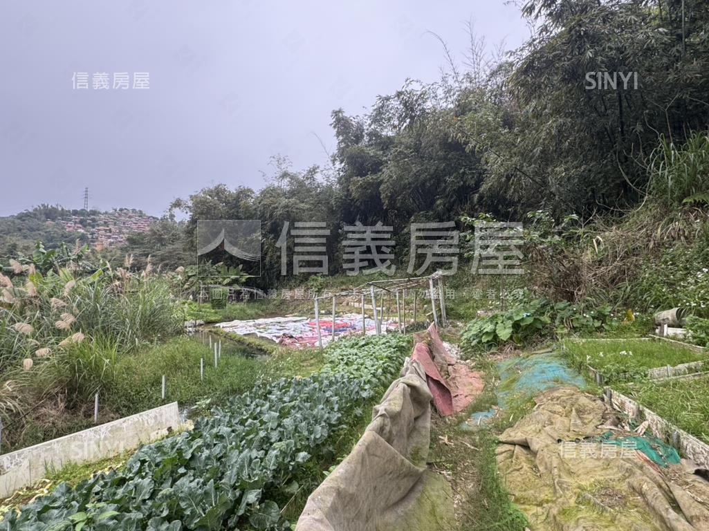 汐止北峰段土地房屋室內格局與周邊環境
