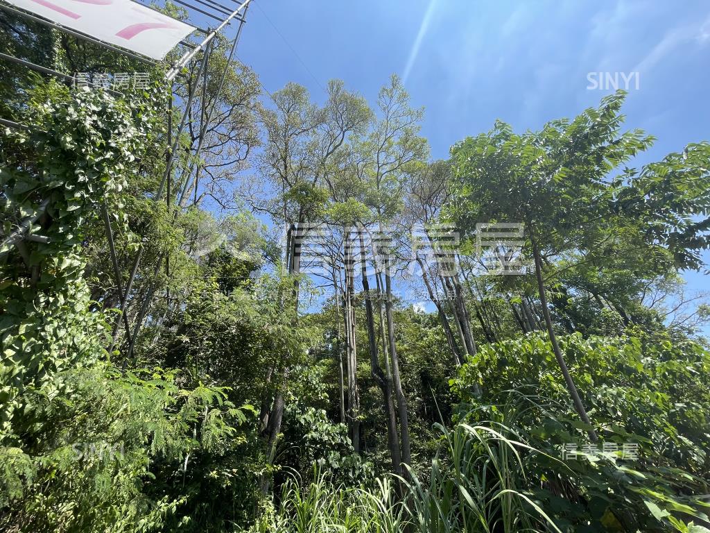 北屯土地１房屋室內格局與周邊環境