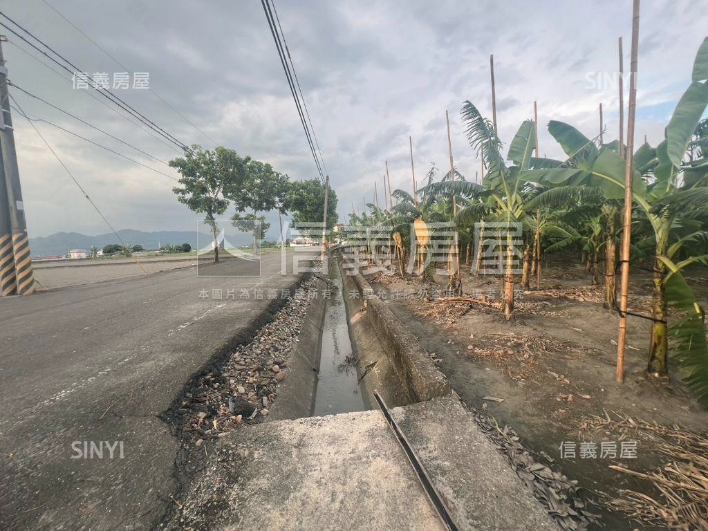 美濃龍山街開心農場房屋室內格局與周邊環境
