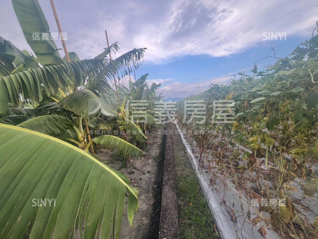 美濃龍山街開心農場房屋室內格局與周邊環境