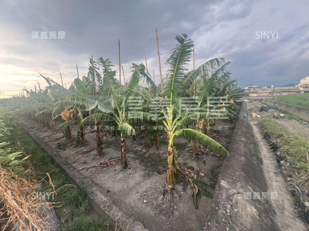 美濃龍山街開心農場房屋室內格局與周邊環境