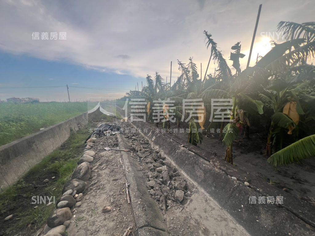 美濃龍山街開心農場房屋室內格局與周邊環境