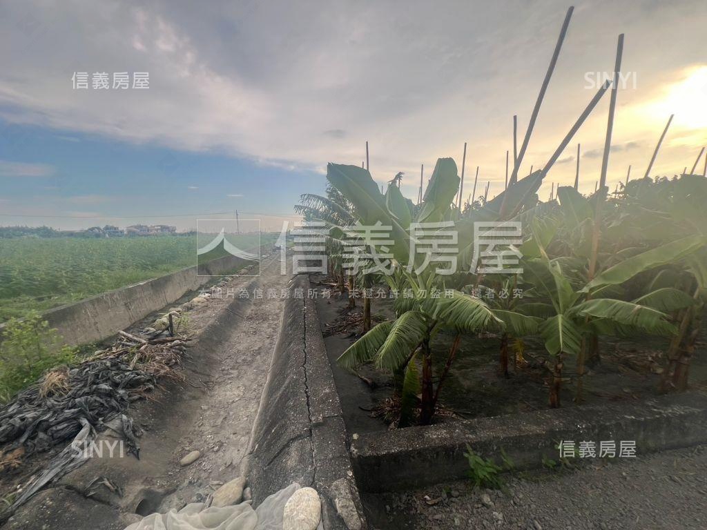 美濃龍山街開心農場房屋室內格局與周邊環境