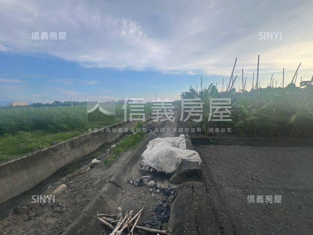 美濃龍山街開心農場房屋室內格局與周邊環境