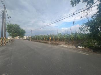 美濃龍山街開心農場