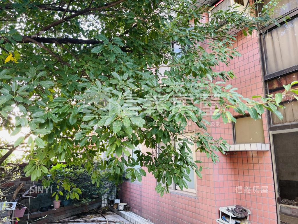 庭院一樓附車位房屋室內格局與周邊環境