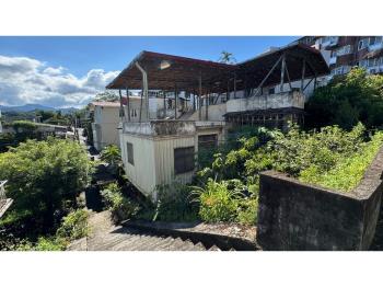 怡園雅士綠意透天