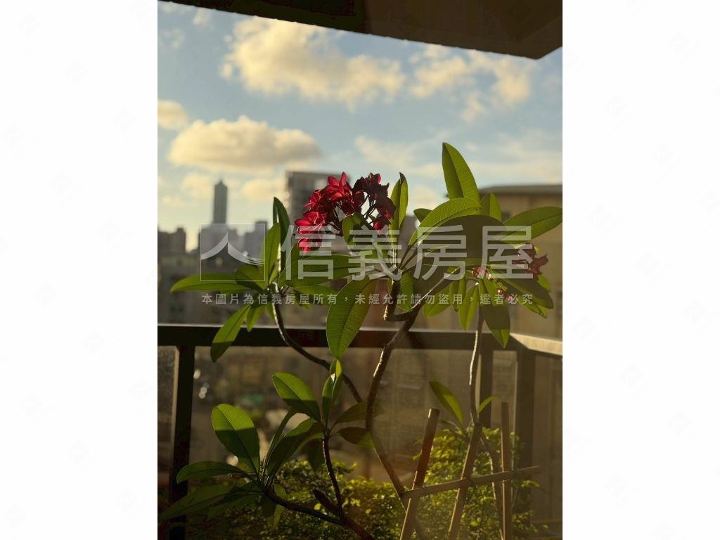 英倫亞灣質感品味美宅房屋室內格局與周邊環境