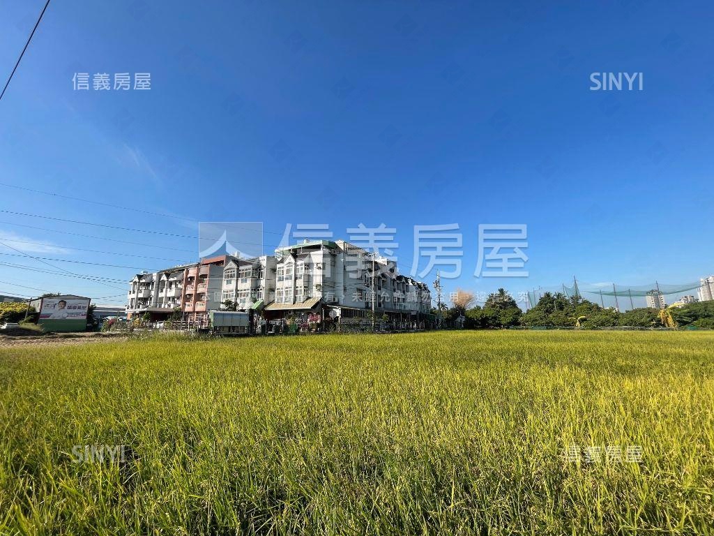 【太稀有啦】龍洋巷別墅房屋室內格局與周邊環境