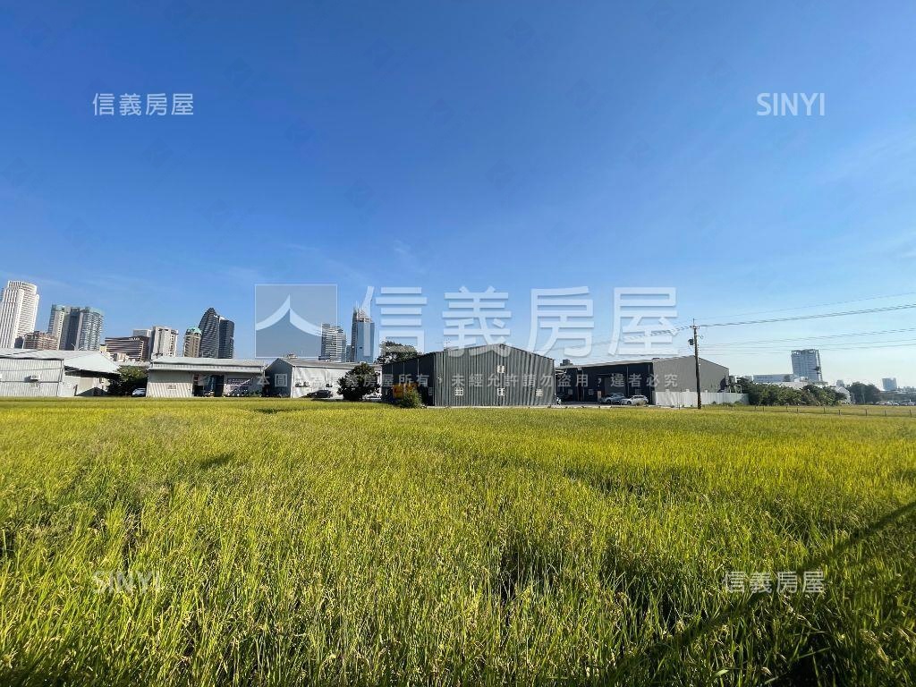 【太稀有啦】龍洋巷別墅房屋室內格局與周邊環境
