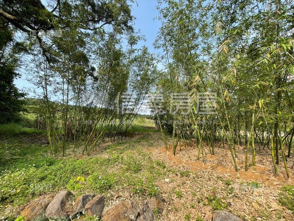 稀有低總價淡水土地房屋室內格局與周邊環境