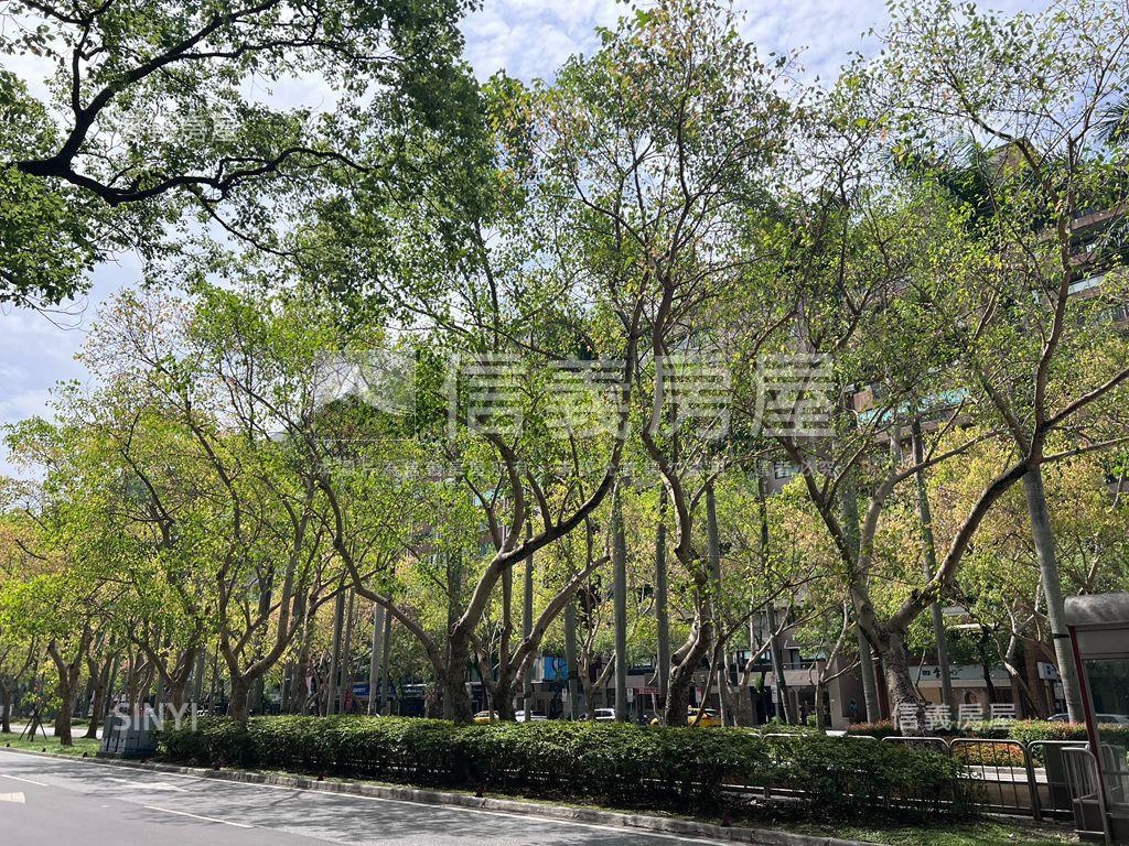 近大巨蛋旁３房車位房屋室內格局與周邊環境