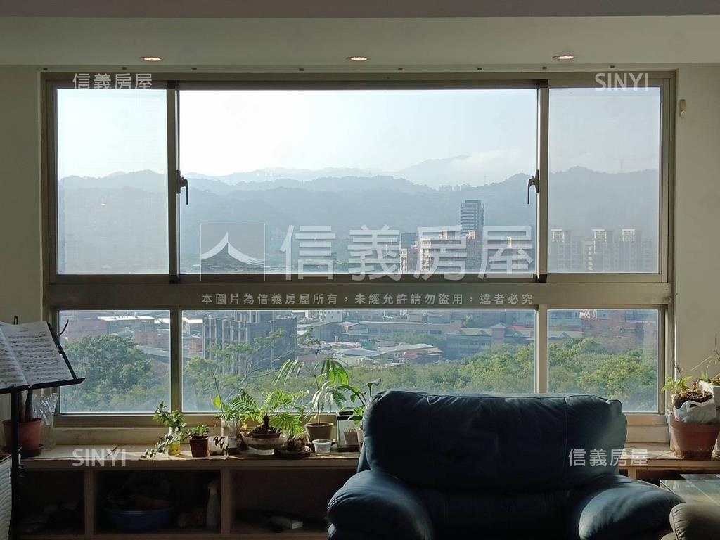 無敵景觀元氣東南角邊間房屋室內格局與周邊環境