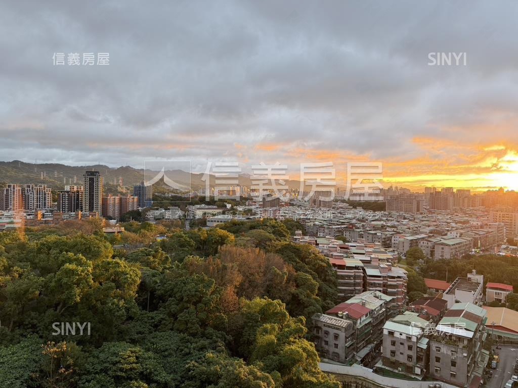 無敵景觀元氣東南角邊間房屋室內格局與周邊環境