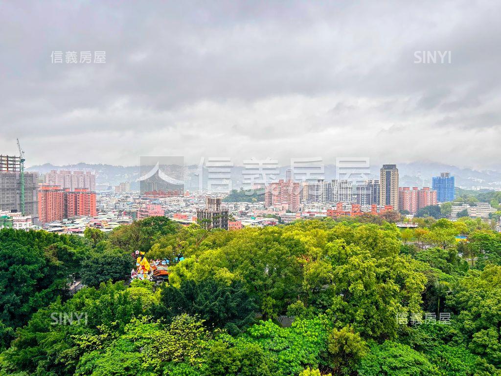 無敵景觀元氣東南角邊間房屋室內格局與周邊環境