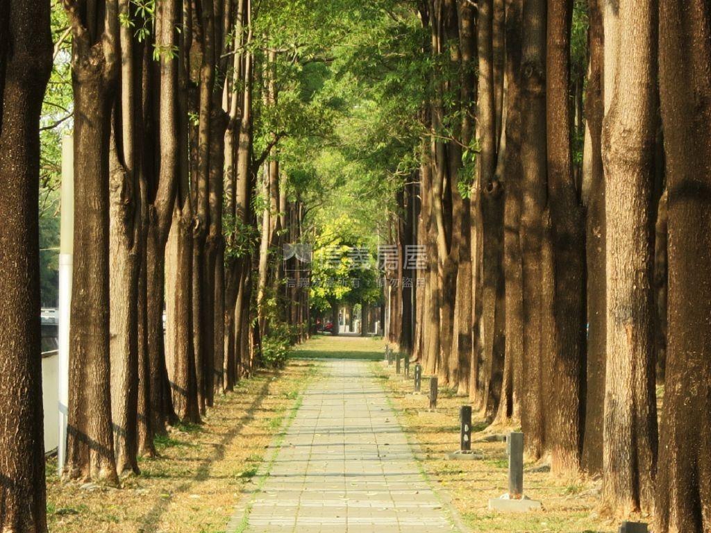 低總價☀️南區精巧透天房屋室內格局與周邊環境